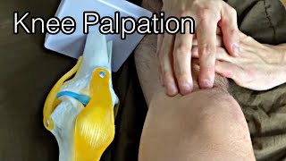 How to palpate knee English [upl. by Nylarahs]