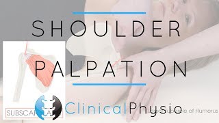 Shoulder Palpation  Clinical Physio Premium [upl. by Kitti]