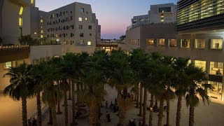 NYU Abu Dhabi Campus Tour [upl. by Alemak]