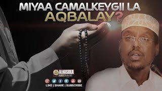 MIYAA CAMALKEYGII LA AQBALAY  ᴴᴰ┇ Sh Mustafe Xaaji Ismaaciil [upl. by Busby]