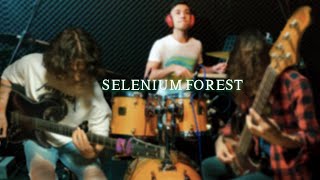 Plini  Selenium Forest Cover [upl. by Alaehs683]