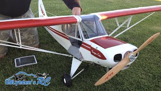 Hangar 9 Super Cub 14 Scale PA18 RC Plane  Super Cub ARF with a VVRC 40 Twin Engine [upl. by Nahtnahoj]