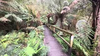 Walking Hopetoun Falls Otway National Park Victoria Australia [upl. by Layor]