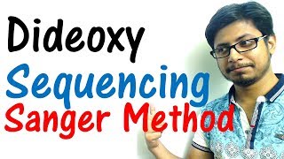 Sanger sequencing method  dideoxy sequencing of DNA [upl. by Inaffit]