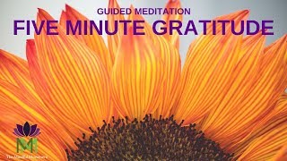 5 Minute Guided Meditation for Gratitude  Mindful Movement [upl. by Roch315]