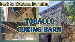 TOBACCO CURING BARN  TOBACCO FARMING [upl. by Riffle]