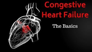 Congestive Heart Failure CHF  Basics Overview [upl. by Calandria]