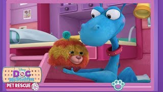 Love Your Pets  Doc McStuffins Pet Vlog  Disney Junior [upl. by Azal]