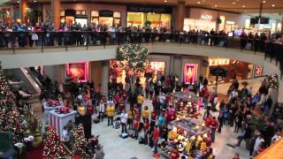 Flash Mob the best of Christmas 2011  Flash Mob Best Of [upl. by Nida870]