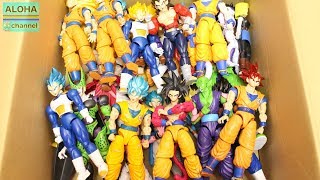 DRAGON BALL FIGURES FIGURE RISE STANDARD PLASTIC MODEL COLLECTION dragonball [upl. by Bissell]