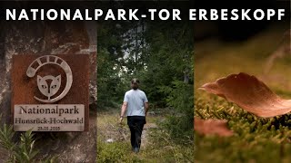 Erkundung vom NationalparkTor Erbeskopf  Ein Tag im Nationalpark HunsrückHochwald [upl. by Direj638]