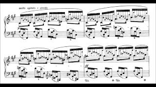 Chopin 24 Preludes Op28 Blechacz [upl. by Weinrich]