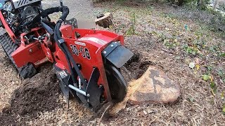 Barreto 30SG Stump Grinder vs Triple Pine Stump [upl. by Glorianna]