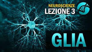 Le Cellule Gliali  NEUROSCIENZE  Lezione 3 [upl. by Dessma403]