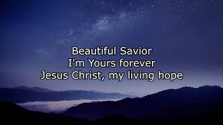 Living Hope  Instrumental with lyrics written by Phil Wickham amp Brian Johnson [upl. by Combe]