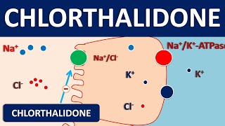 Chlorthalidone 25 mg tablet  Diuretic amp uses [upl. by Susejedairam]