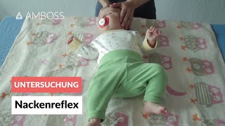 Asymmetrischer tonischer Nackenreflex  Pädiatrie  Frühkindliche Reflexe  AMBOSS Video [upl. by Zanas]