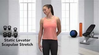 How to do a Static Levator Scapulae Stretch [upl. by Naoma]