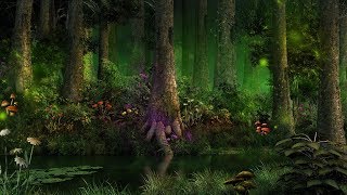 Mystical Forest Music  Enchanting Magical Creatures [upl. by Iat281]