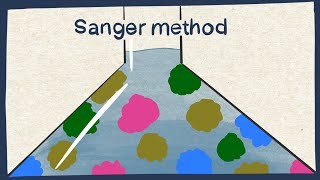 Sanger method DNA sequencing  Biology tutorial [upl. by Nabe897]