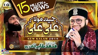 Haider Maula Ali Ali  New Manqabat Maula Ali 2018  Hafiz Tahir Qadri [upl. by Alvord]