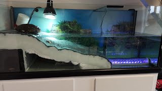 Aquarium pour tortue  Partie 2 LAquaterrarium [upl. by Leiad102]