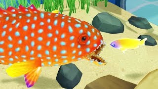 Building a Carnivorous Fish Aquarium  Megaquarium Gameplay [upl. by Ahterod1]