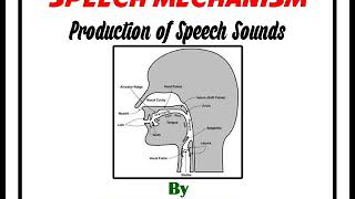 Production of Speech Sounds [upl. by Dadirac333]