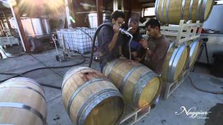 Vine to Wine Winemaking at Naggiar Vineyards [upl. by Zetnom98]