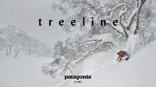 Treeline  The Secret Life of Trees  Patagonia Films [upl. by Ivah88]