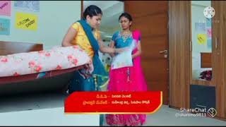 karthika deepam serial today episode part 1 [upl. by Isolt462]