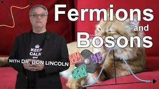 Fermions and Bosons [upl. by Olympia]