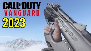 COD Vanguard  All Weapons Showcase Updated 2023 [upl. by Aicatan]