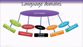 Phonetics  Phonology  Morphology  Syntax  Semantics  Pragmatics [upl. by Tompkins57]