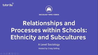 Relationships amp Processes within Schools  Ethnicity amp Subcultures  A Level Sociology [upl. by Assital]