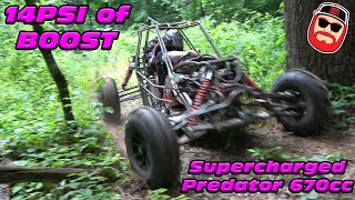 Supercharged Predator 670cc Buggy Woods Rip  Blown 670cc [upl. by Nylear]