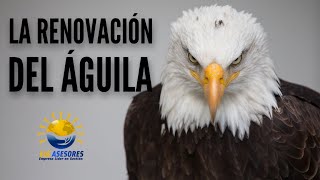 🔴La Renovación del Águila en HD🔴  ELG ASESORES LATINOAMERICA 2023  Video Motivacional de Impacto [upl. by Erodaeht]