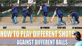 HOW TO PLAY DIFFERENT SHOTS AGAINST DIFFERENT BALLS IN BATTING  CRICKET TIPS  HINDI [upl. by Suki267]