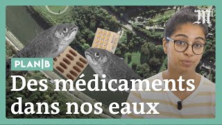 Comment les médicaments polluent lenvironnement  PlanB [upl. by Berthe]