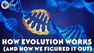 How Evolution Works And How We Figured It Out [upl. by Arednaxela]