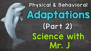 Adaptations Part 2  Physical Adaptations amp Behavioral Adaptations [upl. by Orhtej]