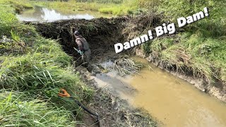 Most Exhausting Beaver DAM REMOVAL EVER [upl. by Spada]