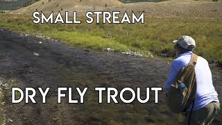 Small Stream Dry Fly Nirvana  Dubois Wyoming [upl. by Nosyarg660]