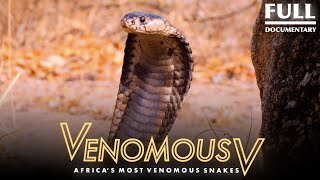 Africa’s Most Venomous Snakes The Venomous 5  2021 Full Documentary [upl. by Masao566]