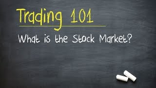 Trading 101 What is the Stock Market [upl. by Acemat]