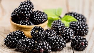 5 Incredible Health Benefits Of Blackberries [upl. by Naesad]