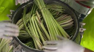 Lemongrass Oil Extraction [upl. by Ayisan]