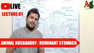 Animal Husbandry  Livestock  Digestive System of Cattle  Ruminant Stomach  Lecture1 [upl. by Chap]