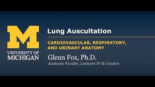 COPD  Overview and Pathophysiology PART I [upl. by Viole]