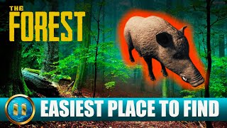 THE FOREST  Where to find BOAR Easiest Spot 2024 [upl. by Ynolem]